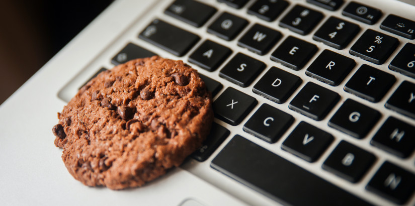 Cookies nejen k jídlu aneb Vše o souborech cookies